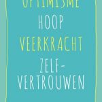 Psychologisch Kapitaal - Optimisme Hoop Veerkracht Zelfvertrouwen - M Steeneveld