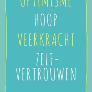 Psychologisch Kapitaal - Optimisme Hoop Veerkracht Zelfvertrouwen - M Steeneveld