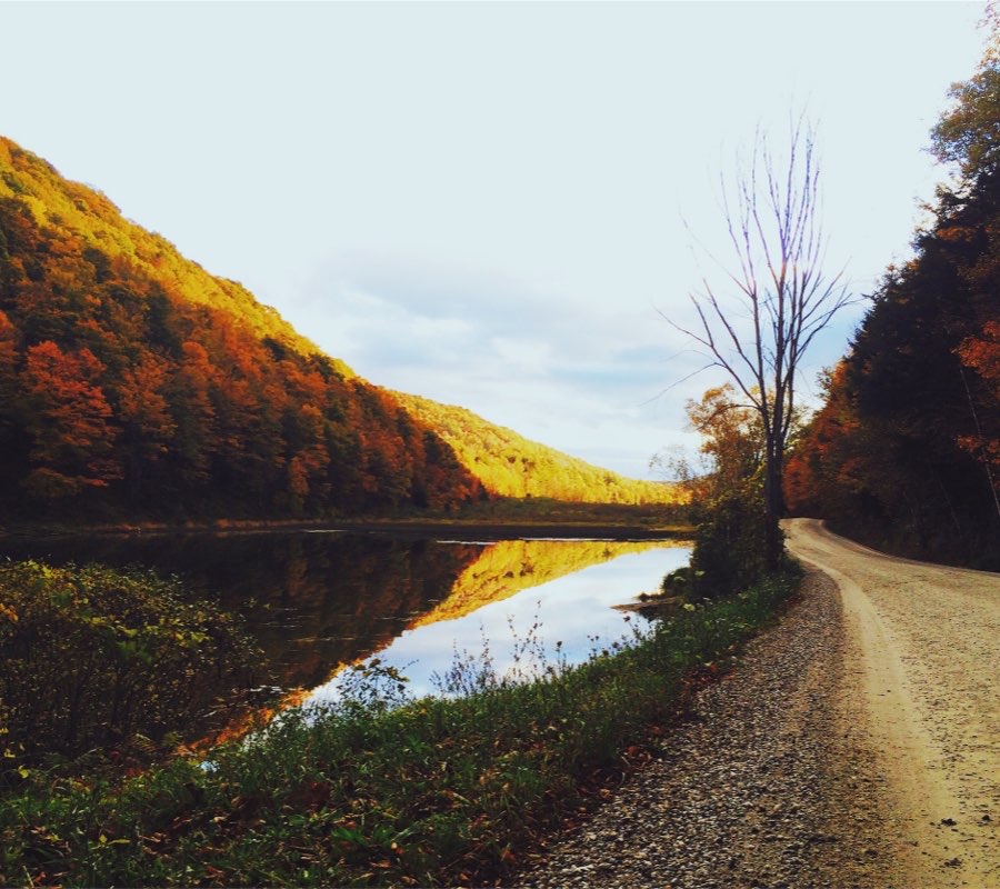 Bospad-langs-meer-en-berg_11zon